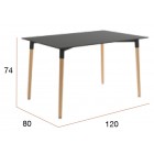 Mesa rectangular Caribe 120