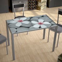 Mesa fija Cica
