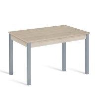 Mesa Syl