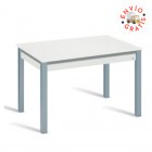 Mesa Syl