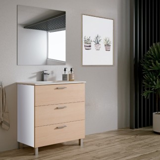Conjunto baño export 60