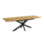 Mesa extensible Keller
